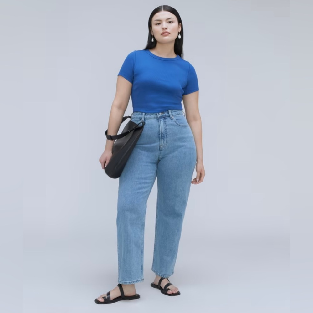 Everlane The Curvy Way-High Light Indigo Organic Straight Leg Jean Size 33